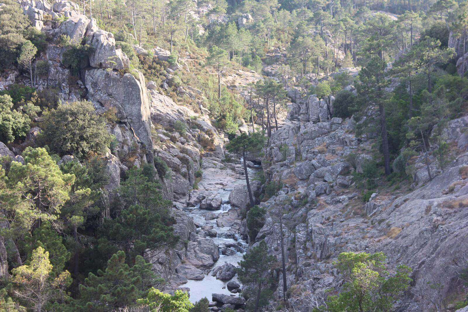Favone - Bonifacio - route d368 16-07-2019