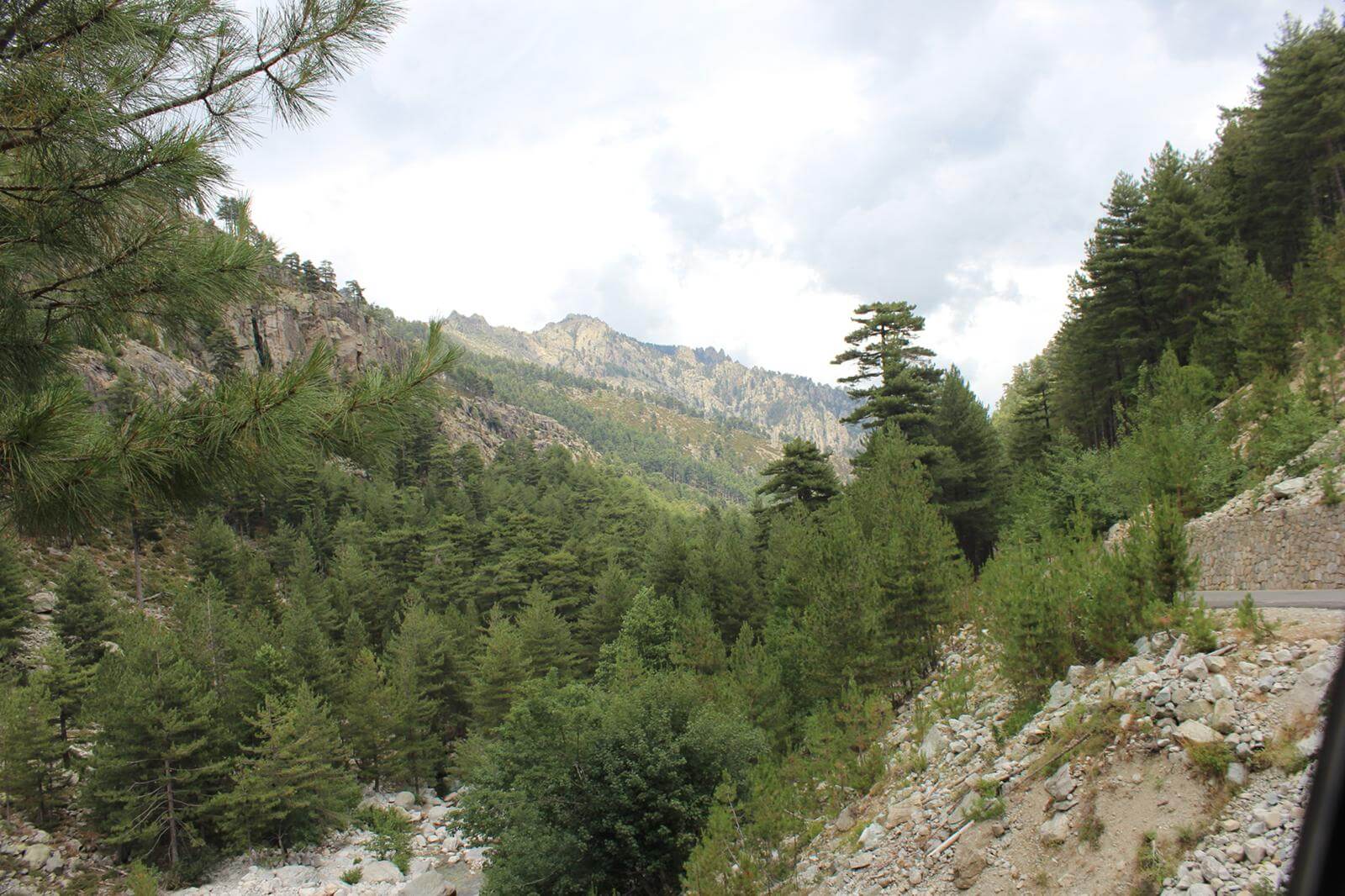 Favone - Foret Restonica 15-07-2019