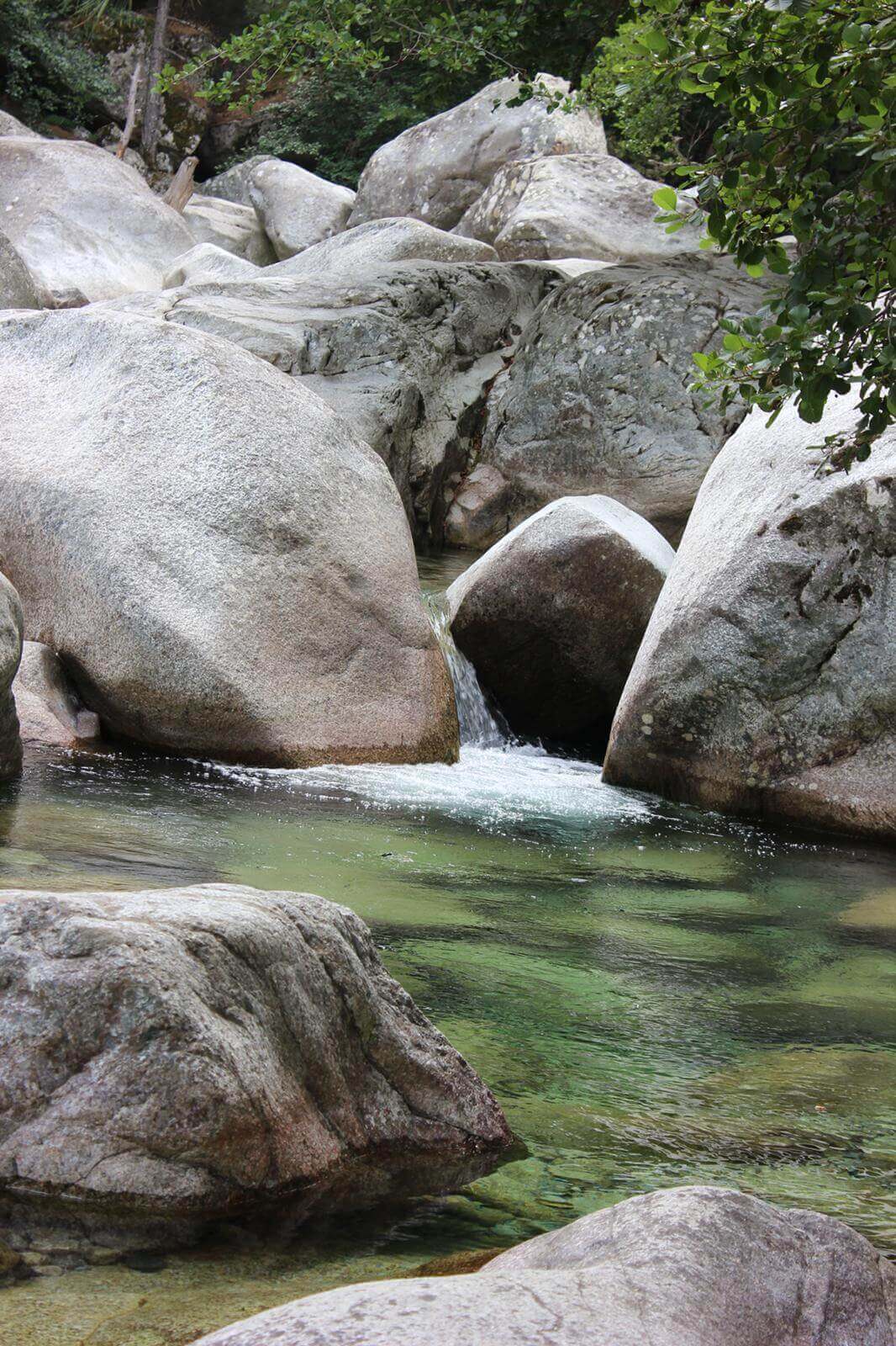 Favone - Foret Restonica 15-07-2019