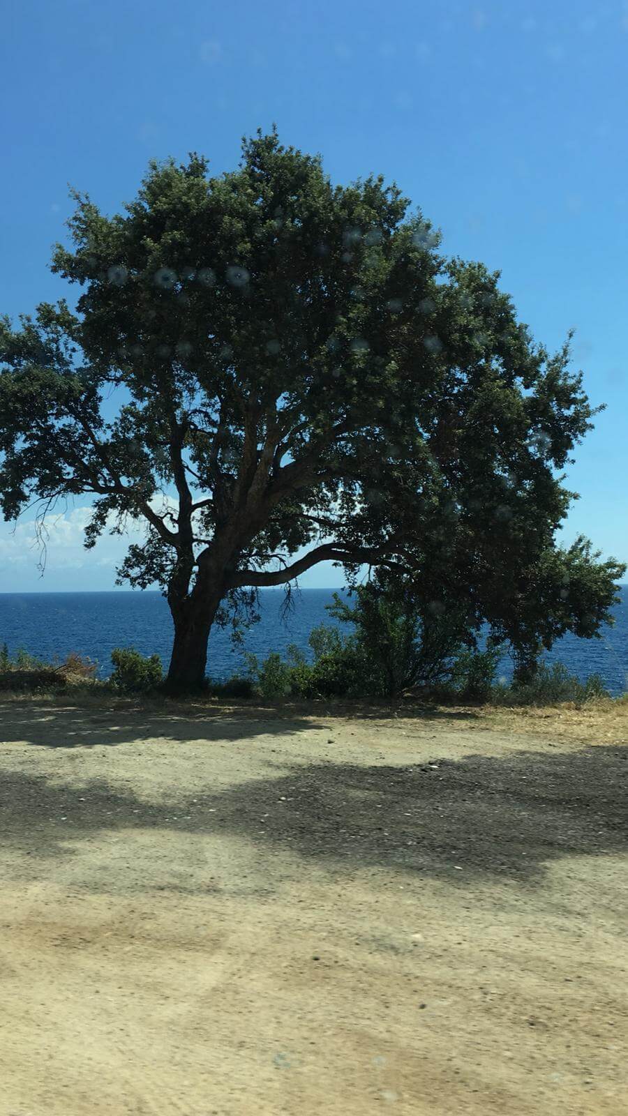 Favone - Port Vecchio 14-07-2019