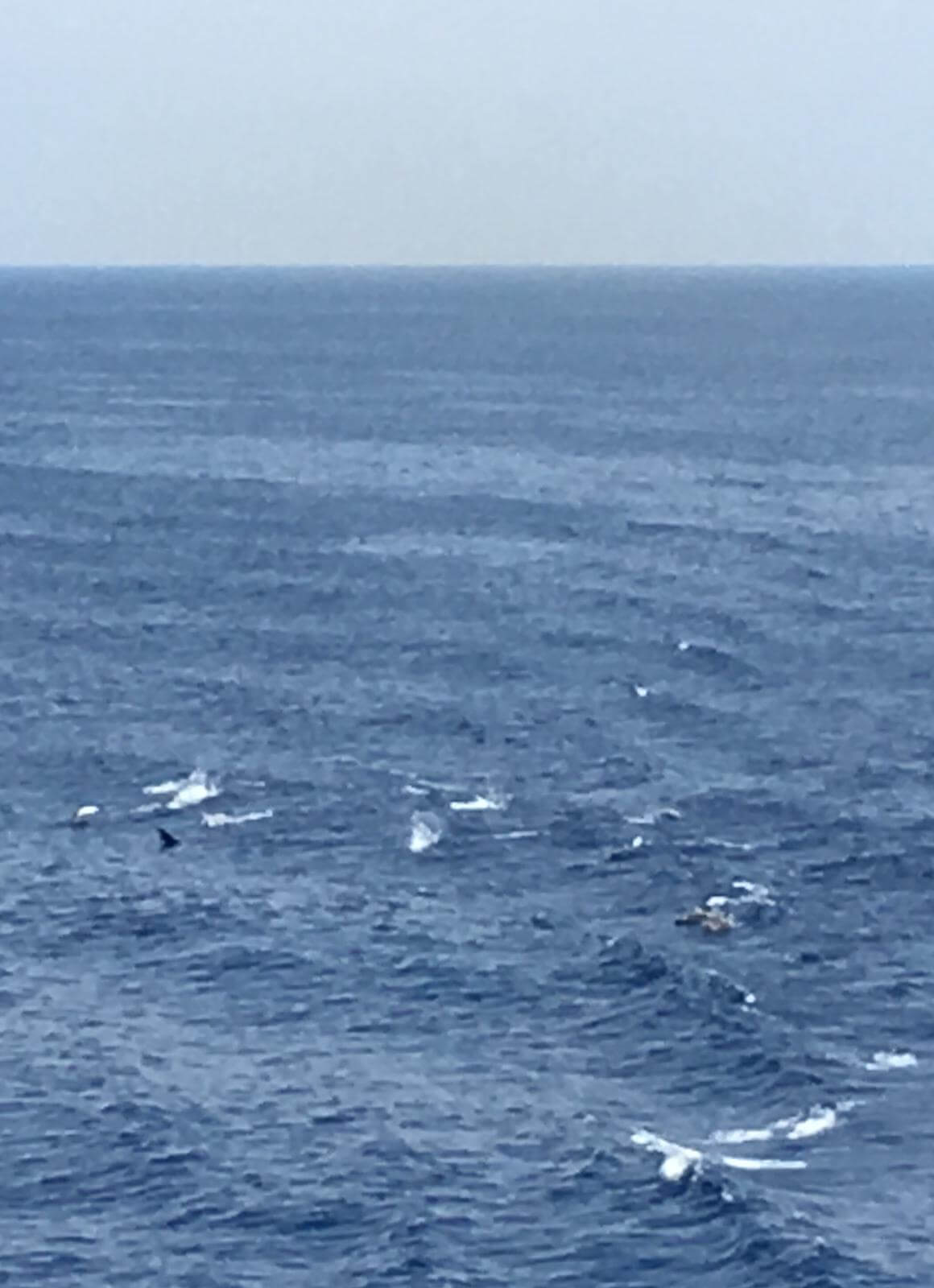 Livorno- L’Argentella (Galeria) 7-7-2019
