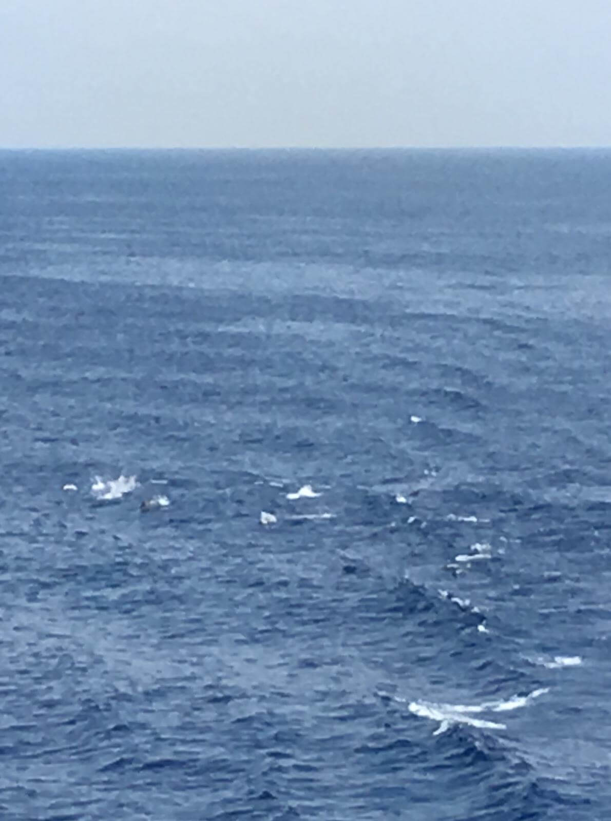 Livorno- L’Argentella (Galeria) 7-7-2019