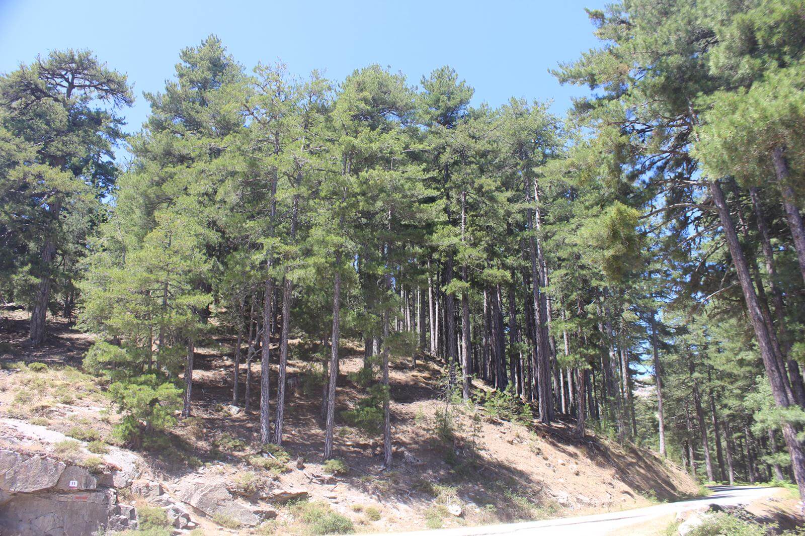 L’Argentella - Favone 13-07-2019