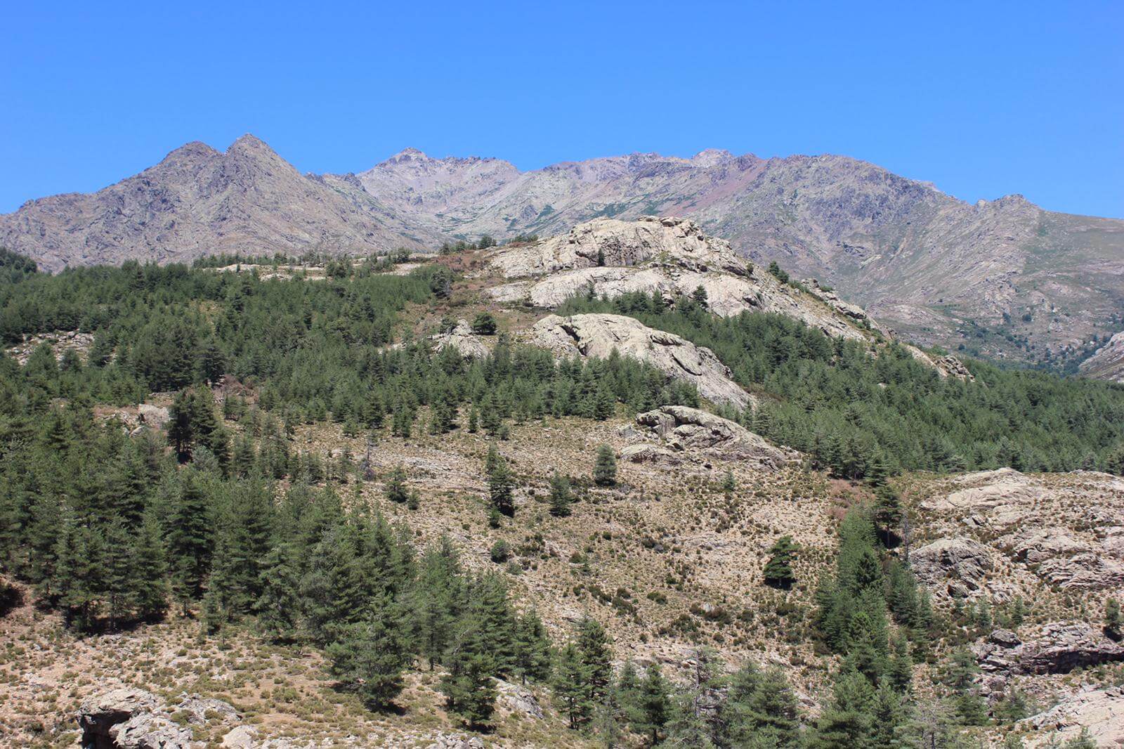 L’Argentella - Favone 13-07-2019