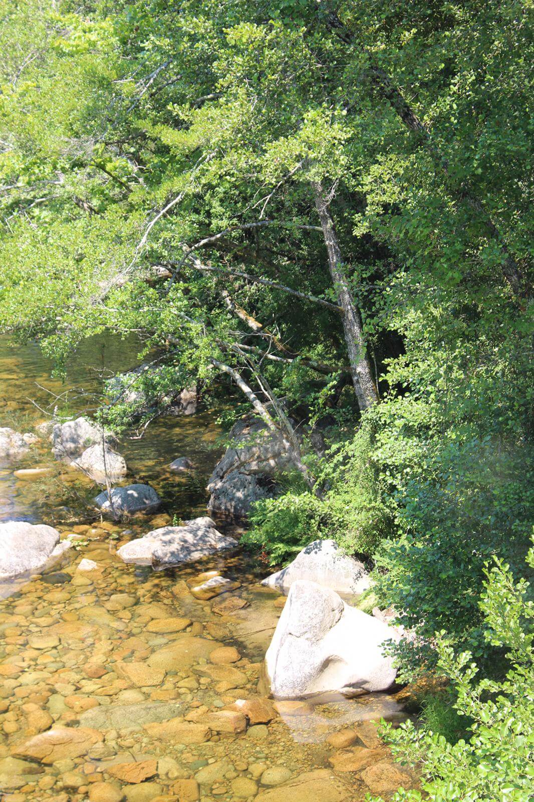 Porticcio - Lac de Tolle - Cascade du Voilede La Mariée 24-07-2019