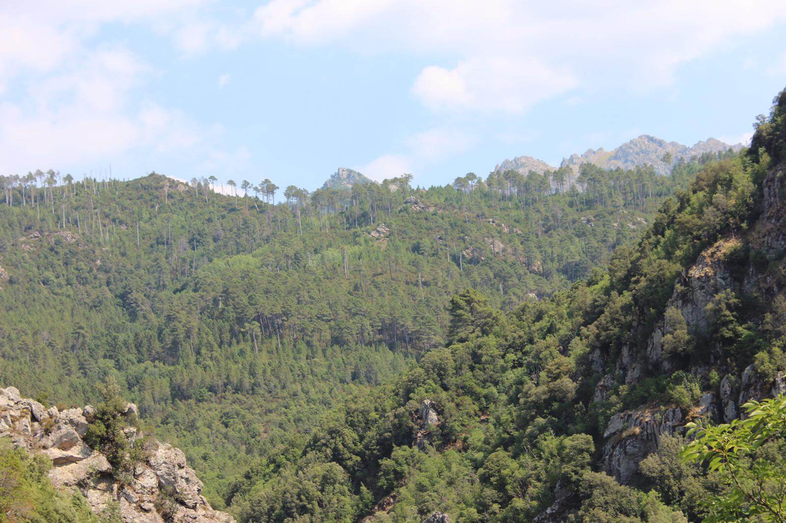 Porticcio - Lac de Tolle - Cascade du Voilede La Mariée 24-07-2019